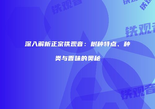 深入解析正宗铁观音：树种特点、种类与香味的奥秘