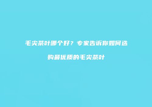 毛尖茶叶哪个好？专家告诉你如何选购最优质的毛尖茶叶