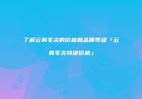 了解云雾毛尖的价格和品质等级「云雾毛尖特级价格」