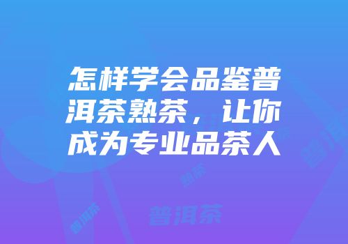怎样学会品鉴普洱茶熟茶，让你成为专业品茶人