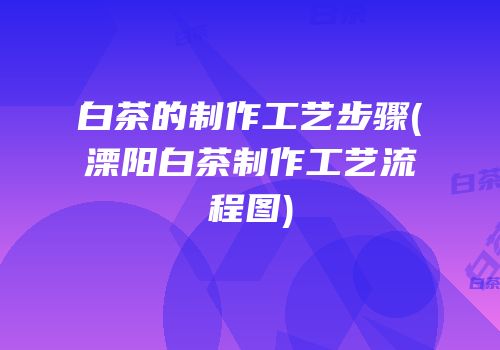 白茶的制作工艺步骤(溧阳白茶制作工艺流程图)