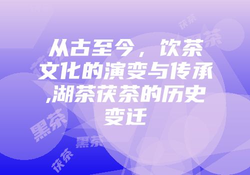 从古至今，饮茶文化的演变与传承,湖茶茯茶的历史变迁