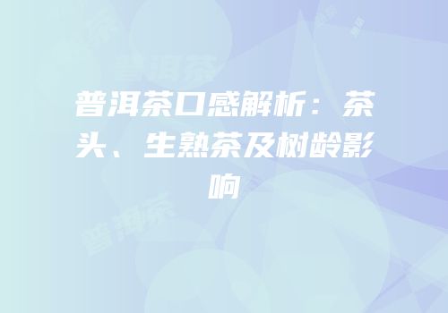 普洱茶口感解析：茶头、生熟茶及树龄影响