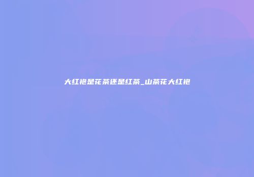 大红袍是花茶还是红茶_山茶花大红袍