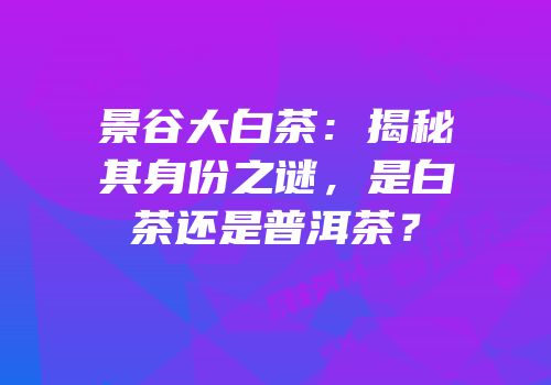 景谷大白茶：揭秘其身份之谜，是白茶还是普洱茶？