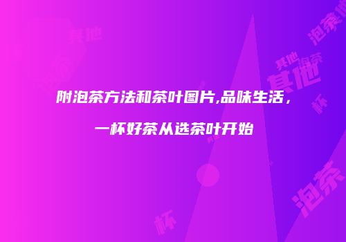 附泡茶方法和茶叶图片,品味生活，一杯好茶从选茶叶开始