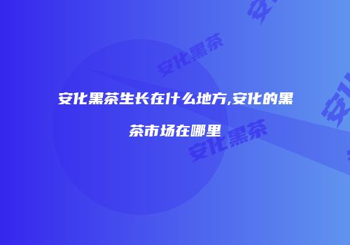 安化黑茶生长在什么地方,安化的黑茶市场在哪里