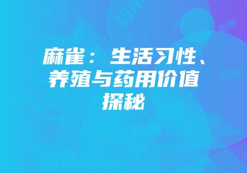 麻雀：生活习性、养殖与药用价值探秘