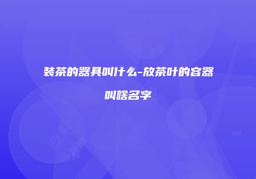 装茶的器具叫什么-放茶叶的容器叫啥名字
