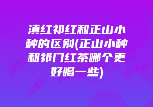 滇红祁红和正山小种的区别(正山小种和祁门红茶哪个更好喝一些)