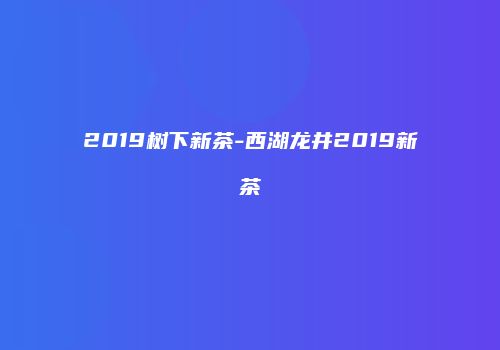 2019树下新茶-西湖龙井2019新茶