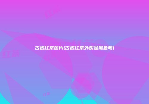 古树红茶图片(古树红茶外观是黑色吗)