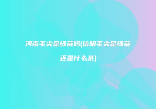 河南毛尖是绿茶吗(信阳毛尖是绿茶还是什么茶)