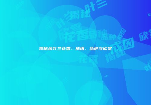 揭秘茶叶兰花香：成因、品种与欣赏
