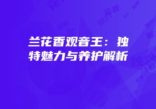 兰花香观音王：独特魅力与养护解析