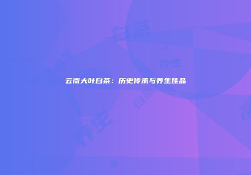 云南大叶白茶：历史传承与养生佳品