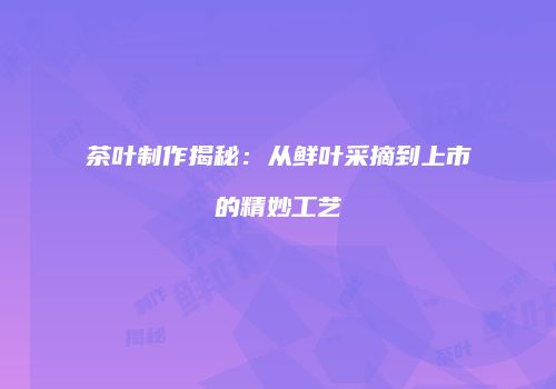 茶叶制作揭秘：从鲜叶采摘到上市的精妙工艺