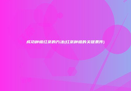 成功种植红茶的方法(红茶种植的关键条件)