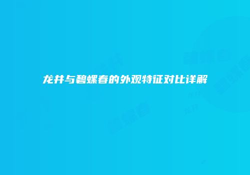 龙井与碧螺春的外观特征对比详解