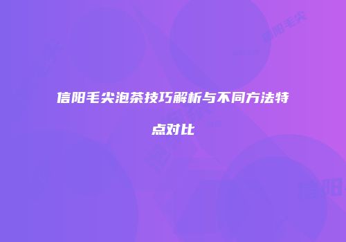 信阳毛尖泡茶技巧解析与不同方法特点对比