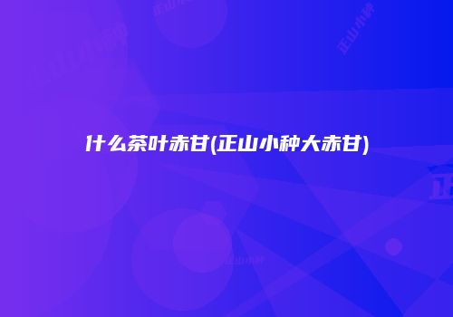 什么茶叶赤甘(正山小种大赤甘)