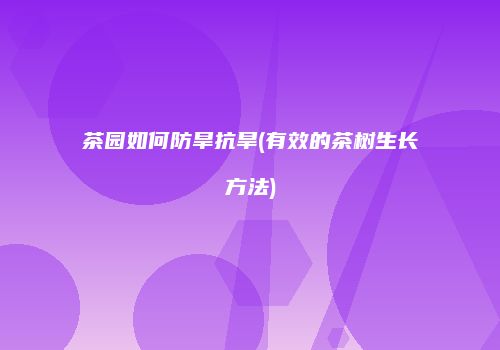 茶园如何防旱抗旱(有效的茶树生长方法)