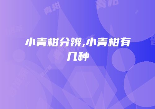 小青柑分辨,小青柑有几种