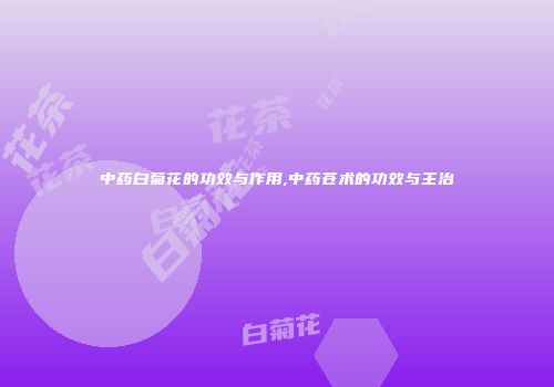 中药白菊花的功效与作用,中药苍术的功效与主治