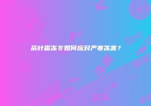 茶叶霜冻冬如何应对严寒冻害？