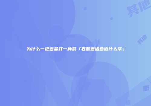 为什么一把壶最好一种茶「石瓢壶适合泡什么茶」