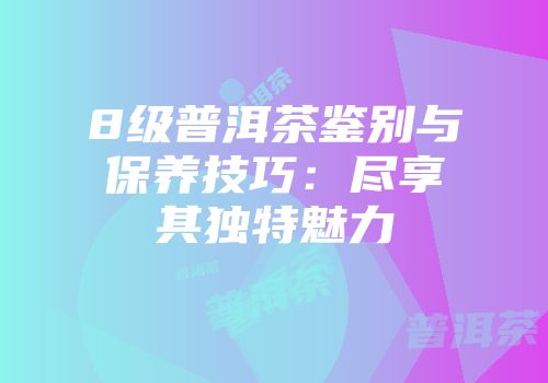 8级普洱茶鉴别与保养技巧：尽享其独特魅力