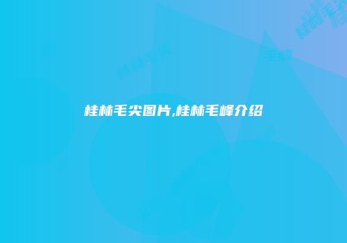 桂林毛尖图片,桂林毛峰介绍