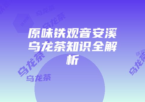 原味铁观音安溪乌龙茶知识全解析