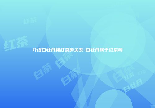 介绍白牡丹和红茶的关系-白牡丹属于红茶吗