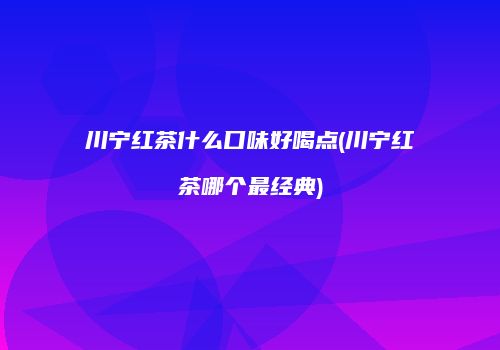 川宁红茶什么口味好喝点(川宁红茶哪个最经典)
