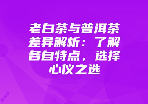 老白茶与普洱茶差异解析：了解各自特点，选择心仪之选