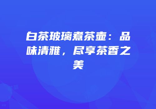白茶玻璃煮茶壶：品味清雅，尽享茶香之美