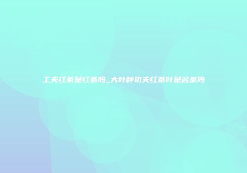 工夫红茶是红茶吗_大叶种功夫红茶叶是名茶吗