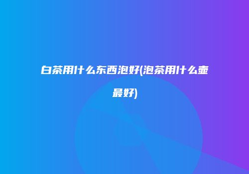 白茶用什么东西泡好(泡茶用什么壶最好)