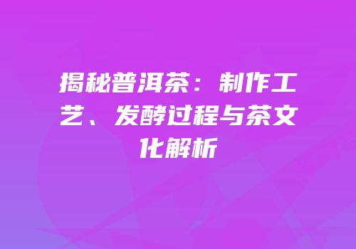 揭秘普洱茶：制作工艺、发酵过程与茶文化解析