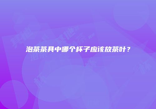 泡茶茶具中哪个杯子应该放茶叶？