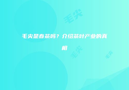 毛尖是春茶吗？介绍茶叶产业的真相