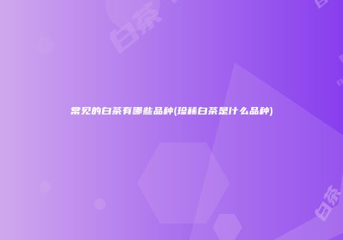 常见的白茶有哪些品种(珍稀白茶是什么品种)