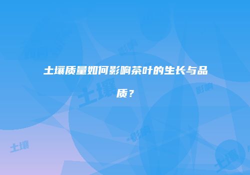 土壤质量如何影响茶叶的生长与品质？