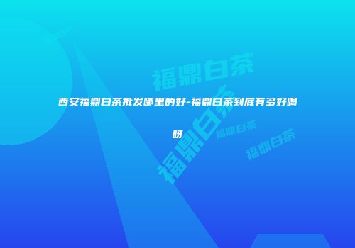 西安福鼎白茶批发哪里的好-福鼎白茶到底有多好喝呀