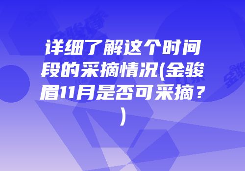详细了解这个时间段的采摘情况(金骏眉11月是否可采摘？)