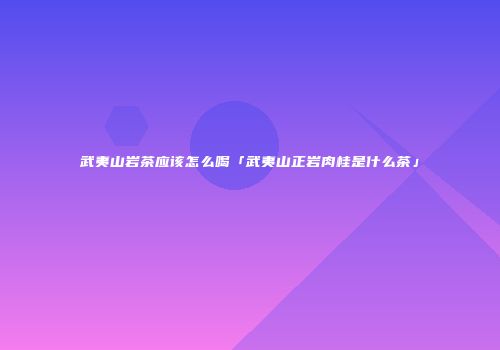 武夷山岩茶应该怎么喝「武夷山正岩肉桂是什么茶」
