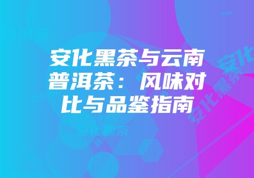 安化黑茶与云南普洱茶：风味对比与品鉴指南