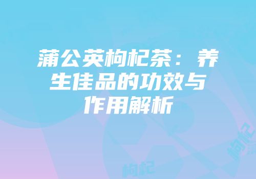 蒲公英枸杞茶：养生佳品的功效与作用解析