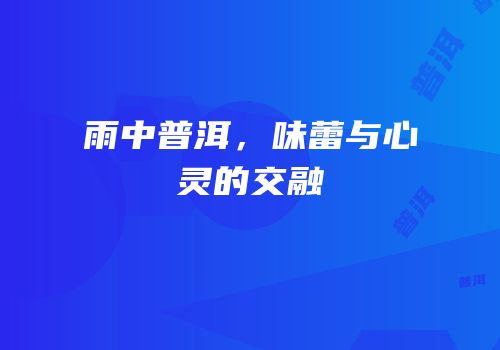 雨中普洱，味蕾与心灵的交融